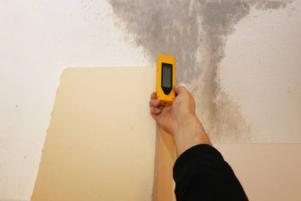Best Real Estate Mold Inspection  in Tecumseh, OK