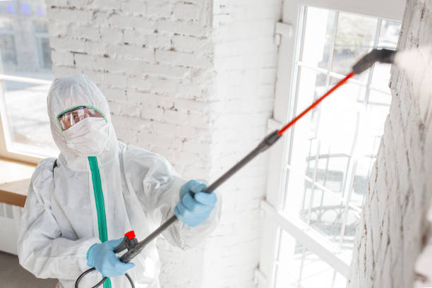 Tecumseh, OK Mold Removal Company