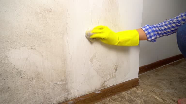 Forensic Mold Investigation in Tecumseh, OK