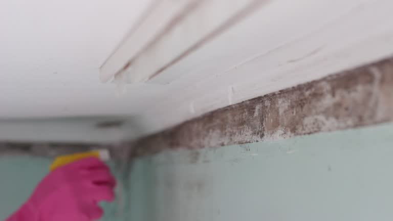 Best Post-Remediation Verification Testing  in Tecumseh, OK